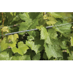 VINE-LINE<sup>®</sup> Connector